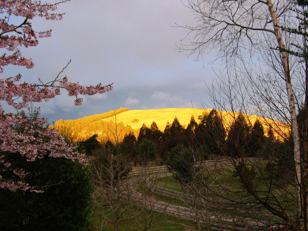 Whakaipo Lodge Taupo Dış mekan fotoğraf