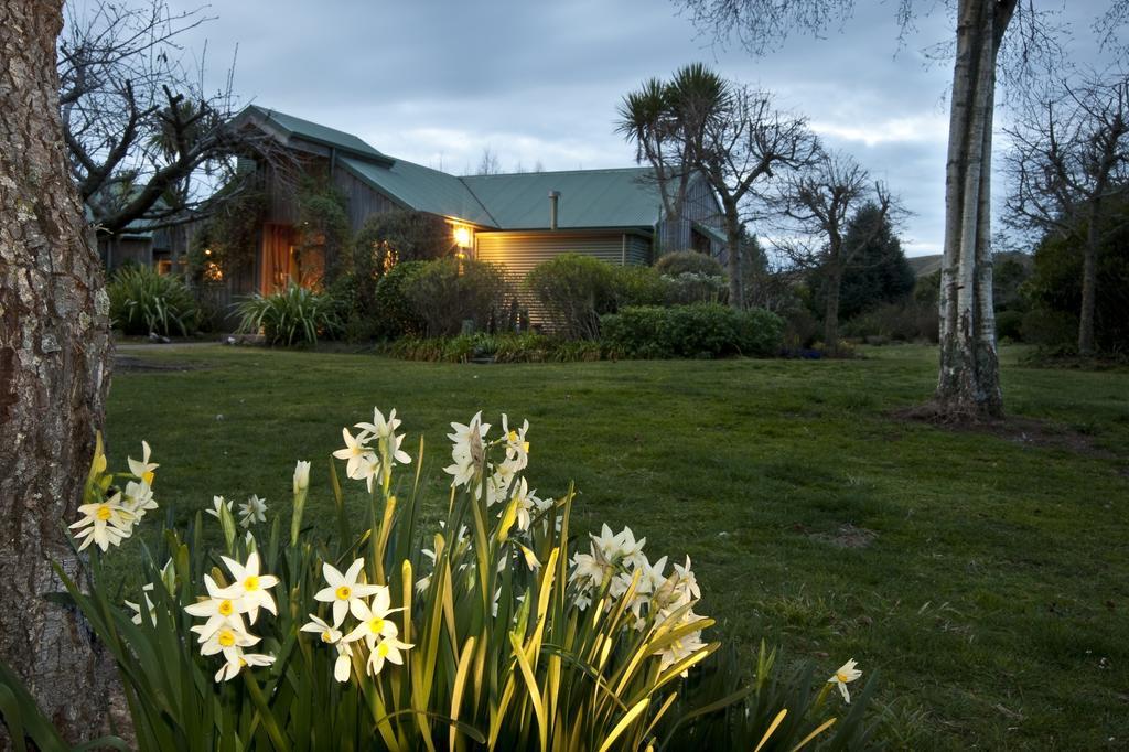 Whakaipo Lodge Taupo Dış mekan fotoğraf
